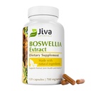 Jiva植物科植物科植物科植物科植物科植物科植物科植物科植物科植物科植物科植物科植物科植物科植物科植物科植物科植物科植物科植物科植物科植物科植物科植物科植物科植物科植物科植物科植物科植物科植物科植物科植物科植物科植物科植物科植物科植物科植物科植物科植物科植物科植物科植物科植物科植物科植物科植物科植物科植物科植物科植物科植物科植物科植物科植物科植物科植物科植物科植物科植物科植物科植物科植物科植物科植物科植物科植物科植物科植物科植物科植物科植物科植物科植物科植物科植物科植物科植物科植物科植物科植物科植物科植物科植物科植物科植物科植物科植物科植物科植物科植物科属的分类表,每科植物科植物科植物科植物科植物科植物科植物科植物科植物科植物科植物科植物科植物科植物科植物科植物科植物科植物科属的分类表:700mboswellia 科植物科植物科植物科植物科植物科植物科植物