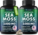 Sea Moss Capsules - 爱尔兰海 Moss 高级 Burdock Root, Bladderwrack & Muira Puama 豁免, Gut, & Energy - 超级食物海 Moss 补充 w/Raw Sea Moss 粉 (2 Pack)