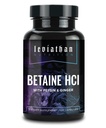 配有百事可乐和姜汁的Leviathan Betaine HCl - 消化酶补充剂,用于消化辅助和支持,胃酸和营养吸收