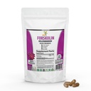纯福斯科林抽取补充剂,配有Potent Coleus Forskohlii 20% 增强能源标准化1000毫克 -- -- 男女植物能源补充剂 -- -- 100 Veggie Capsules