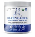 Om蘑菇矩阵 - Equine QQ福祉 USA Grown Human-Grade Organic Mushrom Power Show Safe Horse Suppose QQ 健康,恢复,和高级支持 300格拉姆,10.5 oz