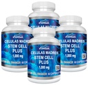 Celulas Madres 4 博特拉斯·维塔米桑