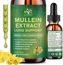 (2包) 6 在1个Mullein Dropps for Lungs,有机Mullein Leaf提取 Tincture for Lungs,Detox Cleanse and Respiratory for Breaking Health, 穆莱因石油补充液支持, Vegan, 1 Fl Oz