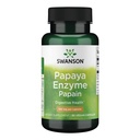 Swanson Papain Papaya 酶 100 毫克 90 维卡普尔