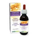 Naturalma Cordyceps (Cordyceps sinensis) Fungus 或 蘑菇无酒精丁香 - 4 fl oz 液体滴液提取 - 草药补充 - Vegan