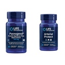 生命延伸 Pycnogenol 法国海洋松树 Bark & Gotu Kola 人工保健补充剂 - 60和30 植物科普莱