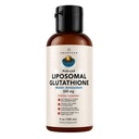 (原始内容存档于2018-03-29). AMANDEAN Liposomal Glutathione Supplement. Liquid Reductiond Setria 500mg. Immune Support, Brain Health, Liver Detox, Skin Health. (原始内容存档于2018-09-25) (英语). 磷脂酰胆碱(学名:Non-GMO sunflower Lecithin)为菊科酰胆碱属下的一个种. (原始内容存档于2017-09-21). Soy-Free & Vegan.