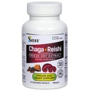 Sayan Siberian Chaga 和有机Reishi 蘑菇提取剂 – 90 Capsules/440mg – Eachle – Wild-Harvested,抗氧化剂混合剂用于免疫系统支持 + Natural Energy Boost, Non-GMO, Gluten Free
