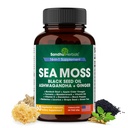 (原始内容存档于2018-09-29) (英语). Sea Moss Capsules with Black Seed Oil Ashwagandha Ginger Burdock root 高级西摩斯 60 Counter of Men Women Age.