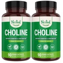 Nested Naturals Choline Bitartrate 500mg - 高概率Choline补充剂 - 支持妊娠期孕产妇和胎儿健康* - 100% Vegan & Non-GMO - 2-Pack (180 Vegan Capsules)