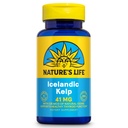 Nature's Life Iceland Kelp 41 mg - 来自冰岛海水的海克尔普碘补充剂 - 天然碘225mcg的甲状腺对妇女和男子的支持 - 60天保证,250名服务员,250名药片