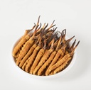 Wild Cordyceps,全喜马拉雅 Cordyceps Sinensis 蘑菇,真和非常稀有,高年级,靴子能量,减轻男女压力,5格拉姆(13+17pic)来自尼泊尔兰中基达扎迪.