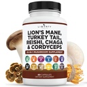 狮子马恩蘑菇 与土耳其 Tail Reishi Cordyceps Chaga 和 棉花糖根 - 1-Pack
