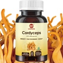 Cordyceps Capsules, 蘑菇提取剂补充粉末, 31% Beta Glucan用于性能, 能量和免疫系统支持, 700mg, 60 Counter, Organic and Vegan