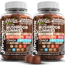 15in1 蘑菇包 配有狮子的马恩土耳其Tail Cordyceps Reishi Chaga Sweet Toot Maitake Meshima Poria Cocos Shiitake Tremella,奥伊斯特·阿加里库斯 男女蘑菇增刊 - 2Pack