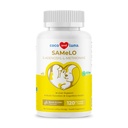 狗也是 - 120可切片 - S-Adenosyl-L-Methionine, 肝脏补充 - 脑健康,促进认知支持,肝脏支持(同一块)