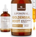 Goldenseal Root 提取器 3000mg 用于免疫和呼吸健康-快速吸食 QQ无糖 QQ Vegan QQ 4 Fl Oz