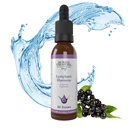 埋藏的宝藏 莱姆法克 和谐滴 - 2oz, 30 services, 莱姆法克 配有克莱弗斯, 伯多克, 埃奇纳西亚, Astragalus 的莱姆法克补充剂