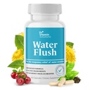 DR VITAMIN SOLUTIONS 控制体重的尿液药丸,12种活性成分(绿茶,Cranberry & More),Bloat & Swelling的即时救济,女性和男性的蓄水药丸——60顶盖