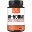 NAD+ 数字化 与Nicotinamide Riboside 500mg-手机能源和维修、健康老化、健康 -- -- 90卡普尔 -- -- 3个月供应