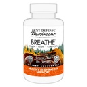 Host Defense Breathe * Capsules - Immune & Respiratory Support 蘑菇补充剂 - 配有Chaga, Reishi & Cordyceps的草药肺健康补充剂 - 120 Capsules (60架) *