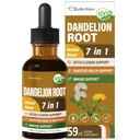 Dandelion Root screw Drops, Diente de Leon Organico Hierba, Dandelion 补充公式 w/Milk 硝酸盐 Turmeric for Detox cleanse, Digestion & Immune 支持,无酒精叮当 2oz