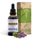Bugleweed USDA 有机 → 酒精-FREE提取物,高概率草药滴出物,呼吸系统 → 100%认证的有机 Bugleweed (Ze Lan, Lycopus Virginicus) 干草(2 FL OZ)