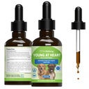 Petwelling Young at Heart for Dogs - 心脏健康,循环和心血管系统,Hawthorn, Motherwort, Schisandra - 兽医-草药补充2 fl oz(59毫升)
