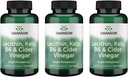 Swanson Lecithin Kelp B-6 & 苹果酒 Vinegar 240 Tabs (3 Pack) (3 Pack) (英语).