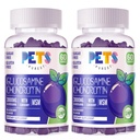 Pets Purest Glucosamine Chondroitin Gummys配有MSM & Elderberry Extra 力量——联合支持,成人、男女抗氧化剂免疫支持补充。 (2包)蓝莓