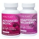 Bill Rawls博士的《重要计划》免疫支持补充材料 – Imune Boost Bundle w/日语 Knotweed, Cat 's Claw, Chinese Skullcap & Reishi Mushroom
