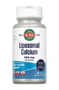 KAL Liposomal Calcium 500 mg, 高吸收钙补充剂, 基本钙支持, Vegan, Gluten Free, No Soy, 30 services, 90 Veg Caps