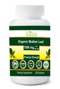 有机Mullein叶 1500 mg 在美国制造的120种蔬菜