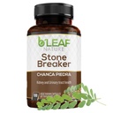 B'Leaf Nature Chanca Piedra Stonebreaker, 100 Capsules, 1000mg – 传统草药肾支持 – 非GMO, Vegan, Gluten-Free Urinary Tract & Liver Wellness (英语).
