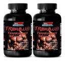 男子性长而强的药丸 -- -- TRIBULUS TERRESTRIS EXTRACT 1000MG -- -- MUSCLE STRENGTH,男性生育增生剂,男性性欲药丸,男性强化剂,耐力增生剂,2B 120片药丸