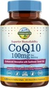 Terranics CoQ10 100mg,120 软胶,吸收额外的维尔京橄榄油,心脏健康和能源生产