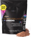 Livingood Daily Plant Collagen + Greens Powder,巧克力,5-in-1Collagen 支持皮亚蛋白,氨基酸,螺旋藻,氯草胺和维生素C,毛皮钉支持,维干,30个服务
