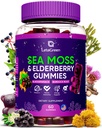 爱尔兰海 Moss Gummys – Bladderwrack Burdock 根长莓维生素C & Zinc – 60 Vegan Seamoss Gummy Bears for 成年儿童 男子 女子 – 多矿种长莓维生素