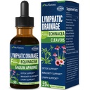 Cleavers Lymphatic Draugage Drops for Lymph System Detox Cleanse, Lymphedema Support 补充公式 w/ Echinacea, Cat ' s Claw, Red Clover 提取纹饰,与 Lymph Massage 工具一起使用. 2oz