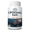 1,600毫克 Liposomal NAD 补充剂,98%纯 NAD+ 补充剂,高级吸收剂,Nicotinamide Riboside 或NADH 替代剂,用于老化防御、能源、长寿、60软胶