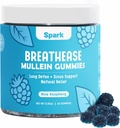 Mullein Gummys for Lungs - Lung Detox Gummys - 每日呼吸卫生支持 - 吸烟者清洁 - 过敏性,Sinus和Mucus Relief - Mullein Leaf Extraction for Lungs