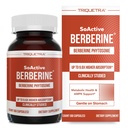 SoActive Berberine 550mg:9.6X 高等吸附,临床研究,优化生理学 |支持代谢和AMPK激活 |非GMO,Soy-free |临床验证剂量 | 60服务