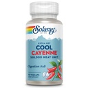 SOLARAY Extra Hot Cool Cayenne 100,000 HU - 传统民俗补救和消化援助 - 生物冷却工艺 - 实验室验证,GMP设施,60天保障 - 45名服务员,90名蔬菜