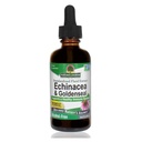 自然之答 Enchinacea & Goldseal 支持健康免疫系统 超级专注提取 QQ 无酒精、无胶、Vegan & Kosher认证 2oz