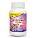 Arymar Chanca Piedra 配有 Cranberry – 草药支持尿液健康与肾功能(60 Capsules)