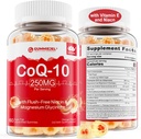 无糖CoQ10 填充胶体250MG,Coenzyme Q10 w/Magnesium Glycnate,Niacin No-Flush维生素B3,E & Folic酸,HEA-rt的高吸收CoQ10,细胞能和抗氧化剂