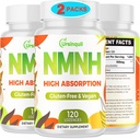 副语言NMNH 500mg(二氢氧化亚铁(Dihydronicotinamide mononucleotide)(240 services, NMNH 500mg per service) NAD 补充促进NAD 等级,如我们时代,用于抗衰老,能源,豁免,焦点 - 2 pack)