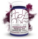 Andrographis paniculata Capsules | 200mg | 60 伯爵 Andrographolides | 50% 支持 Imune 函数 | 支持细胞函数