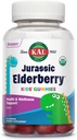 KAL 侏罗纪长莓孩子 Gummys 健康免疫支持 USDA Official, Vegan, Gluten Free → 30 Serv, 60 Ct