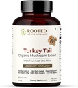 ROOTED Active's Turkey Tail Mushules 提取 Capsules QQ 心脏健康,应激缓解,肝脏. USDA Official, 35% Beta Glucans, 认证有机体 (120 Capsules)